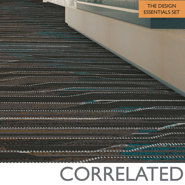 Correlated Catalog
